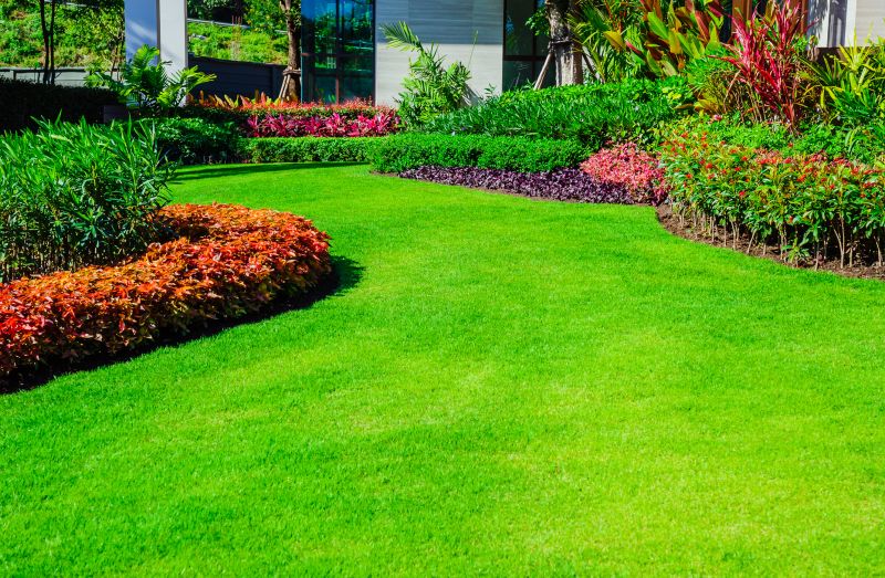 Lawn Landscaping
